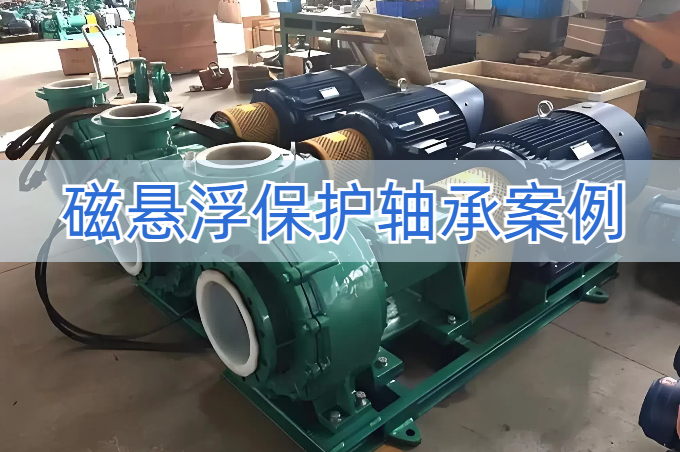 某分子離心泵廠家